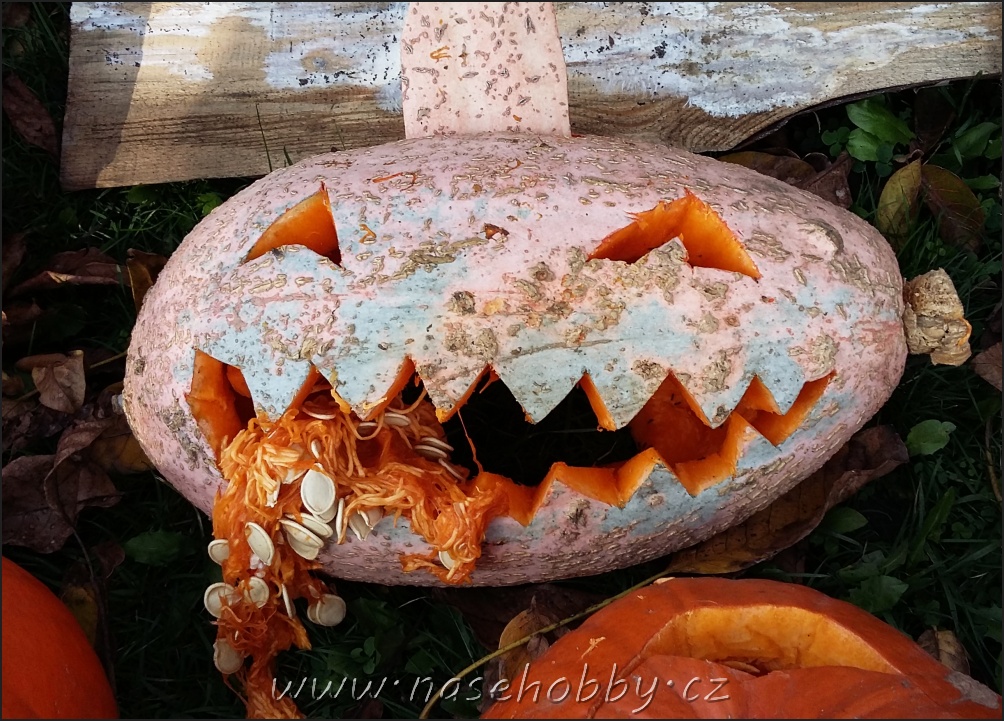 vyřezávaná dýně na svátek všech svatých