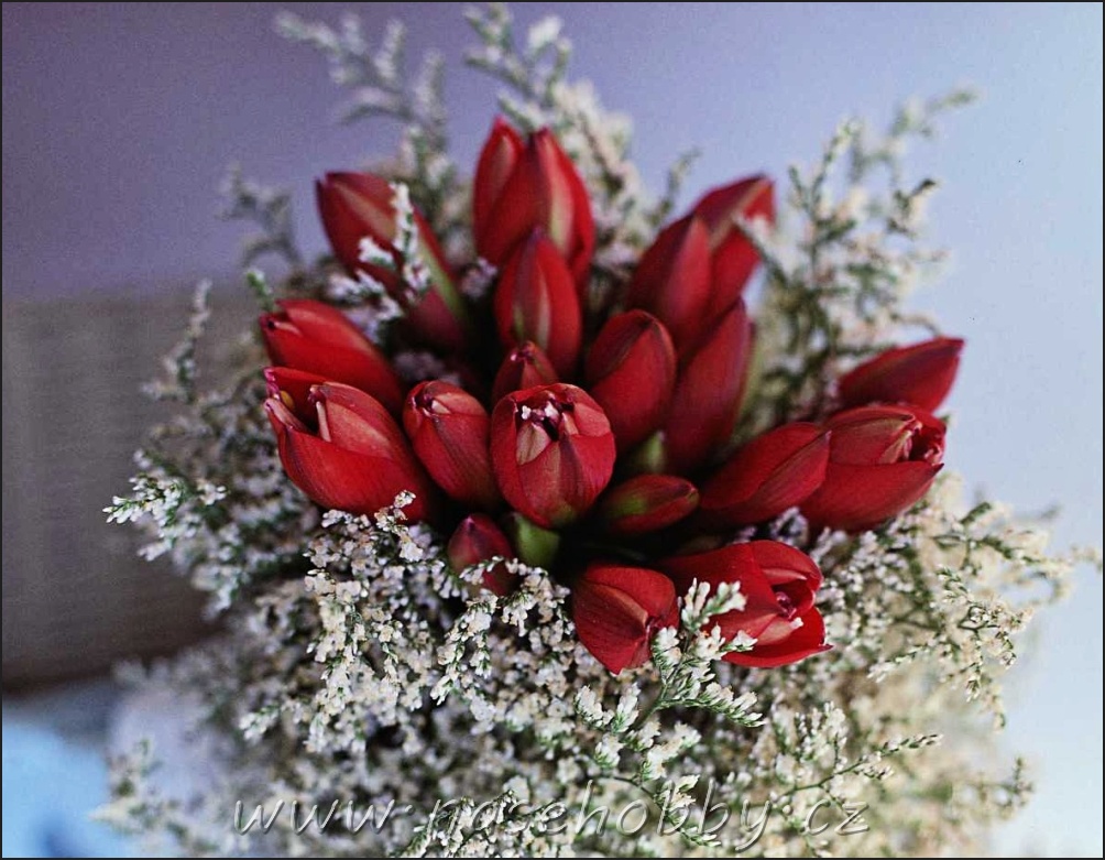 Nejčastějším valentýnským dárkem jsou plyšáci, sladkosti a samozřejmě květiny.